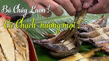 Vlog 1: Cá chạch nướng cùng muối ớt chanh siêu ngon !