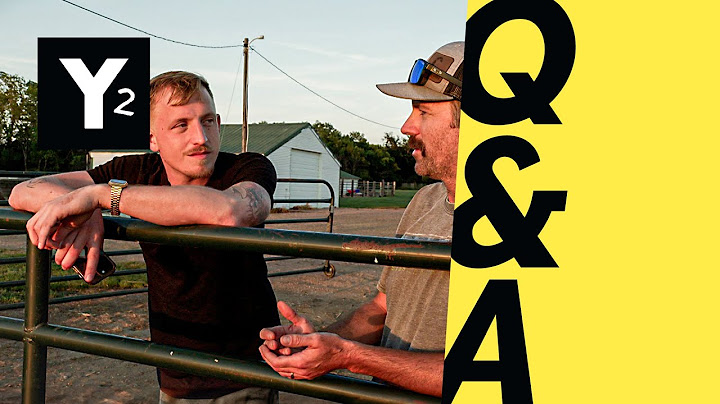 Q&A | "Sie lügen alle!" – Warum in den USA keiner mehr der Politik glaubt | Y-Kollektiv