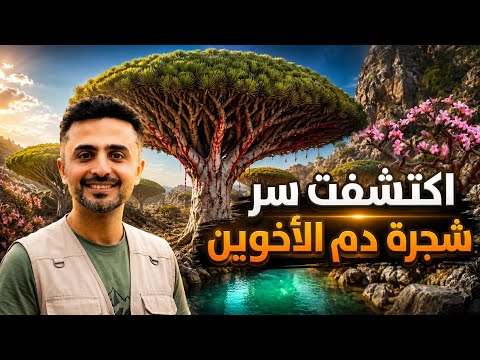 سر شجرة دم الأخوين الأسطورية! | في قلب اغرب جزيرة بالعالم ✨