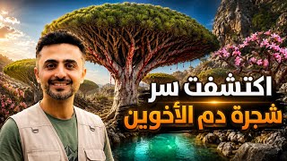 اجمل ثلاث مناطق في جزيرة سقطرى | سر الشجرة التي تنزف دماً