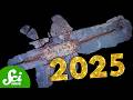 The Coolest Fossils of 2025 thumbnail