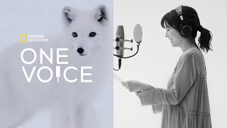 ONE VOICE：宇賀なつみ - 世界大自然紀行：スカンジナビア半島 (動物編) | ナショジオ