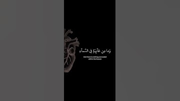 وإن ربك ليعلم ما تكن صدورهم وما يعلنون | القارئ إسلام صبحي |قرآن كريم ..♡