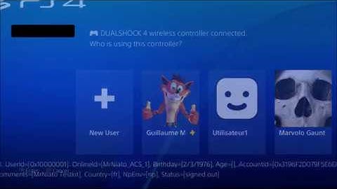 [PS4] Exhibition Mode on a PS4 Testing Kit