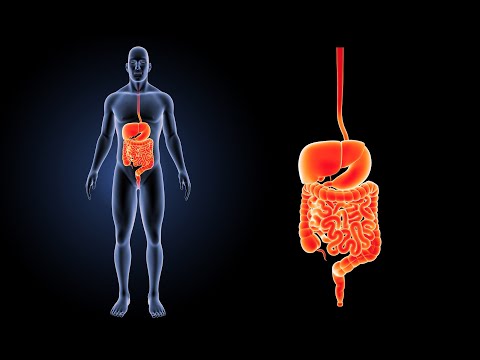 Video: Koliko čvrsto treba da budu stezaljke za creva?