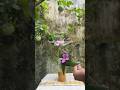 Floral arrangement for End Table #beautifulmesshome #homedecor #onamdecor #garden