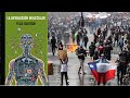 Revolución Molecular en Chile: ¿Impostura intelectual?