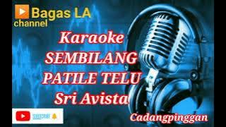 Sembilang patile telu _sri avista_karaoke