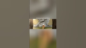 Animation process Procreate Dreams #animation #anime #2danimation #film #procreate #procreateart