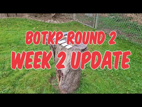 BATTLE OF THE KNIFE PROTECTANTS : Round 2 and 2 Weeks In!