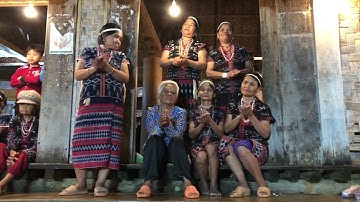 Du lịch cộng đồng: về với đồng bào Cơ Tu  tại làng Ta Lang - Tây Giang, Quảng Nam (20/4/2021)