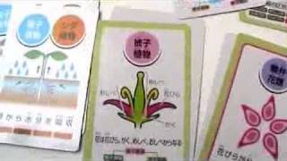 No.21363　知育グッズ　植物のなかまカードゲーム