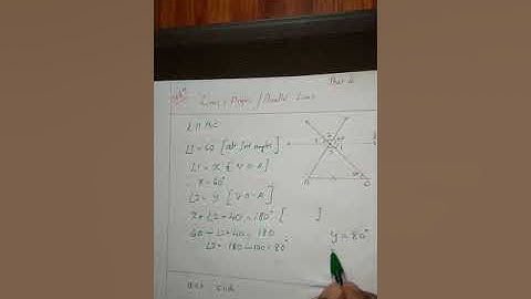 PARALLEL LINES  / LINES & ANGLES  STD 7 (PART 4)
