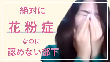 花粉症コント Mp3