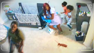 Dad Saves Family From Giant Cockroach