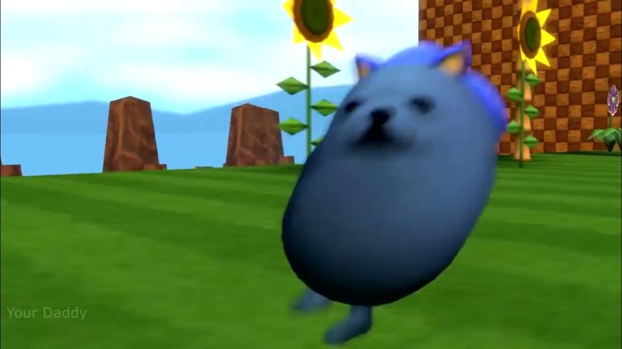 Top 5 eggdog YouTube