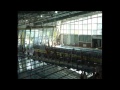Deaflympics - Sofia -  29th July Swimming Part 1
