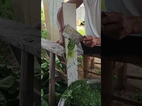 لوح تقطيع حفرة DIY من قبل الأسرة تمزيق أخضر آمن وفعال