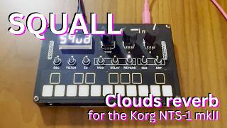 Celebrity Squall: Clouds reverb for the Korg NTS-1 mkII Wealth