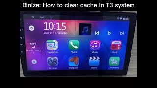 Binize: How to clear cache in T3 system