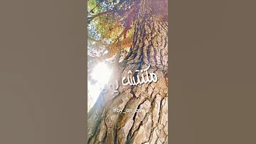 انا لو حبيبك مكنتش يوم تسبني ازاي بتقول نصيبك وهان عليك تسبني محمد فؤاد حالات واتساب ستوريات 