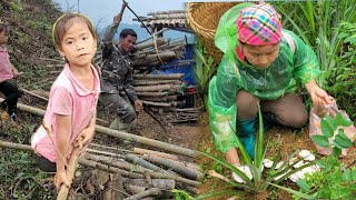 Harvest the night soil mushrooms to get money, and plant the tooth plant