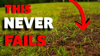 The beginners guide on how to get a thick lawn by Premier Lawns 18,699 views 5 days ago 8 minutes, 22 seconds