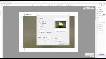 Acrobat   How to check the trim size of artwork