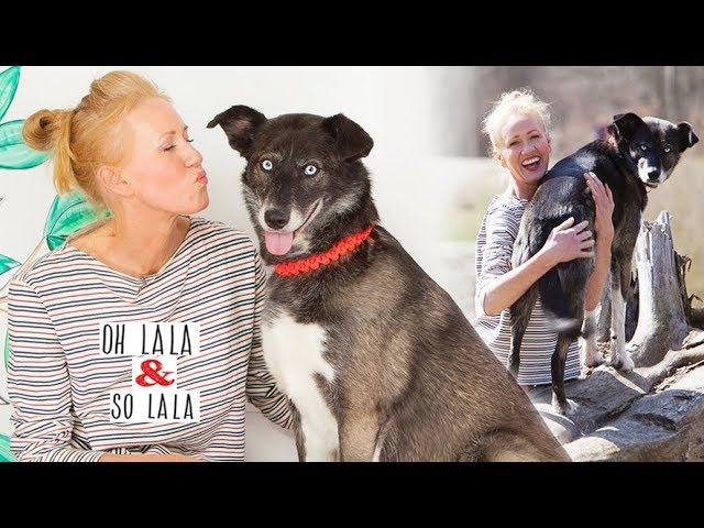 Beste Natürliche Wurmkur Hund Rezept: Hausmittel 3 sddefault