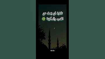 من أجمل التلاوات القرانيه| آيات من سورة القصص | #quran #قرآن #لايك #اكسبلور #تلاوة_هادئة #تيك_توك