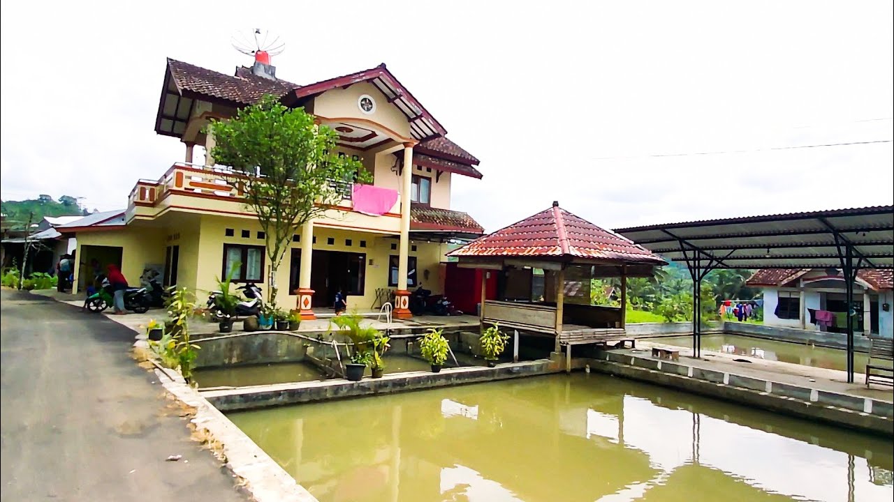 Kampung Bersih, Asri Dan Sejuk, Wonokasihan Sojokerto Leksono Wonosobo Jawa Tengah Indonesia
