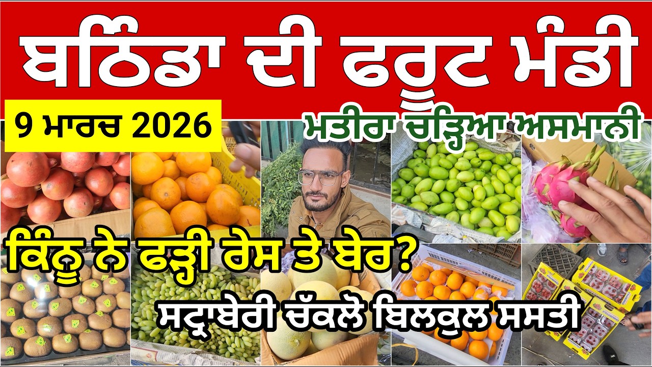 ਬਠਿੰਡਾ ਮੰਡੀ ਚ ਕਿੰਨੂ ਨੇ ਫੜ੍ਹੀ ਰੇਸ । ਸਟ੍ਰਾਬੇਰੀ ਚੱਕਲੋ ਸਸਤੇ ਰੇਟਾਂ ਤੇ । Bathinda Fruit Price Today Punjab