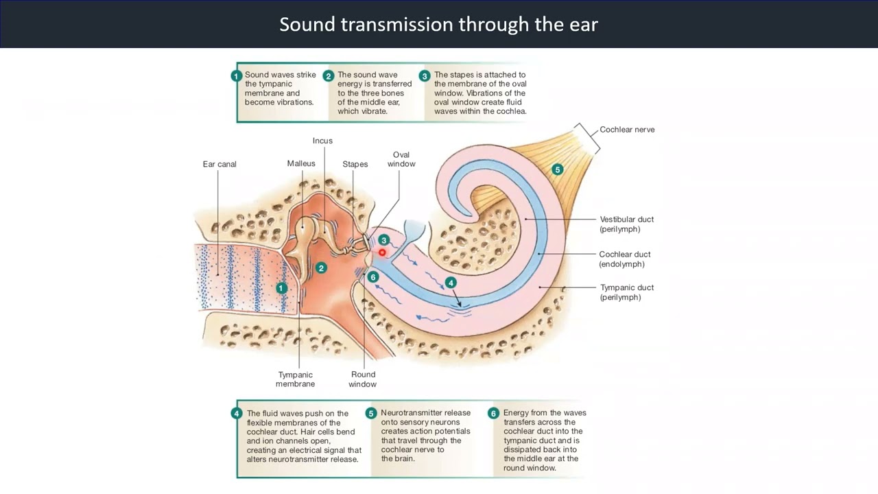 youtube-video-thumbnail