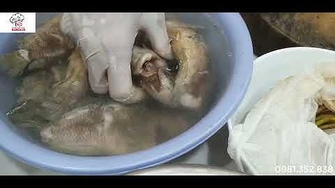 Dạy nấu bánh đa cá rô 0981352838