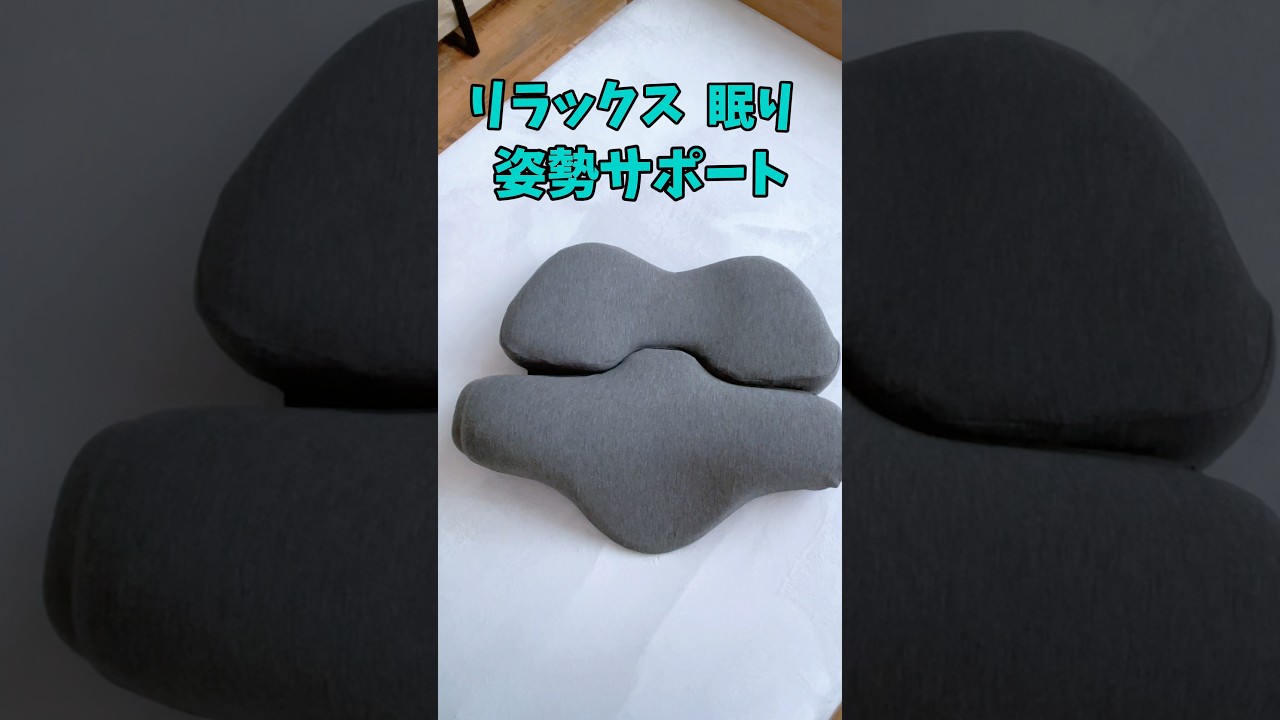 ぴろー様 ファスナー1つで「分かれる」枕！［デュオヘッドピロー］｜BlueBlood.Shop