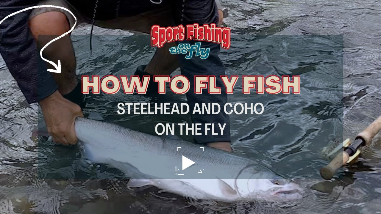 FLY FISHING: STEELHEAD AND COHO ON THE FLY