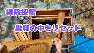 イラスト群 掃除蜜をしました#セイヨウミツバチ#西洋蜜蜂 #養蜂 - YouTube
