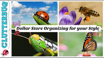 🐝Organizing From The Dollar Store For Your Unique Style 🐞