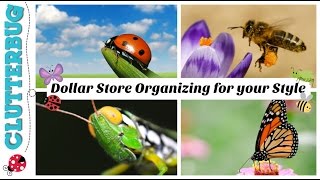 🐝Organizing From The Dollar Store For Your Unique Style 🐞