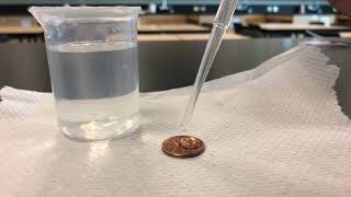 Penny Lab- Water Trial 2