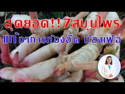 สุดยอด!! 7 สมุนไพร แก้อาการท้องอืด ท้องเฟ้อ | แก้ท้องอืดในผู้สูงอายุ | พี่ปลา Healthy Fish