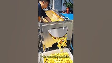 Ginger peeling machine #machine #machinerychannel