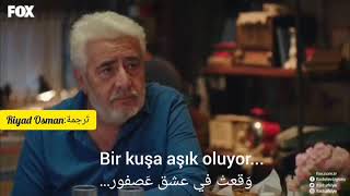 Bir Gün Bir Balık Kuşa Aşık Oluyor مترجمة للعربية