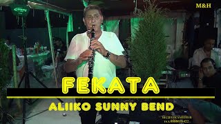 картинка: 2022 / С.АЛТИМИР / ФЕКАТА / АЛИЙКО / СЪНИ БЕНД / ВИДЕО КАМЕНОВ