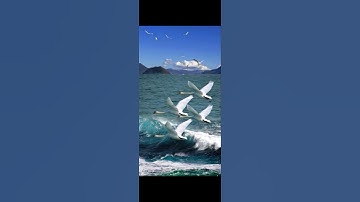 تلاوه مباركه من سورة الكهف بصوت الشيخ سعد الغامدي:)