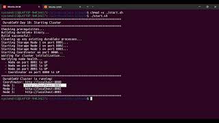 DurableKV Day 10: Distributed Key-Value Store in Go | Coordinator, Storage Nodes & Key Partitioning