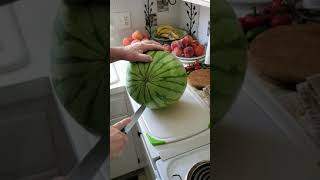 Download Lagu Yellow Watermelon😋👍 MP3