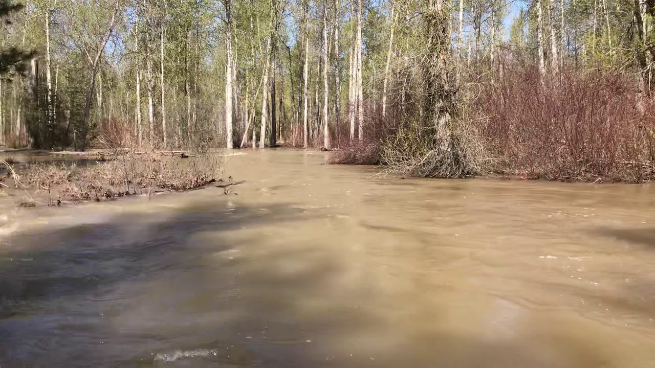 Tower Street Flooding