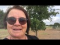 Life Coaching- Results Formula
