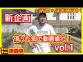 【新企画】畑を借りて野菜を作れ！（吉村D企画）Vol 1